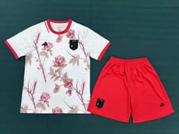 Japan Kit for Adult 2024/25 — photo 1