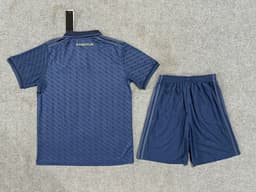 Juventus Third Kit for Adult 2024/25 — photo 2