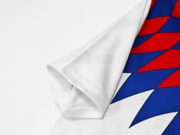 Lyon Retro Shirt 1995/96 Home — photo 2