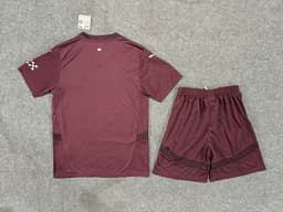 Manchester City Third Kit for Adult 2024/25 — photo 2