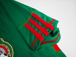 Mexico Retro Shirt 2010 Home — photo 3