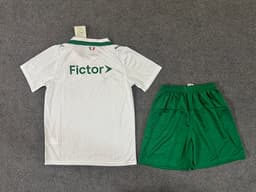 Palmeiras Away Kit for Adult 2026/27 — photo 2
