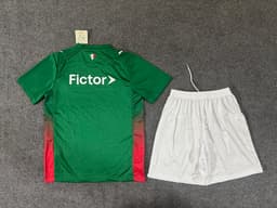 Palmeiras Home Kit for Adult 2026/27 — photo 2