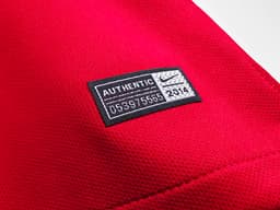 Portugal Retro Shirt 2018 Home — photo 4
