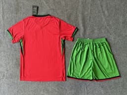 Portugal Home Kit for Adult 2024/25 — photo 2