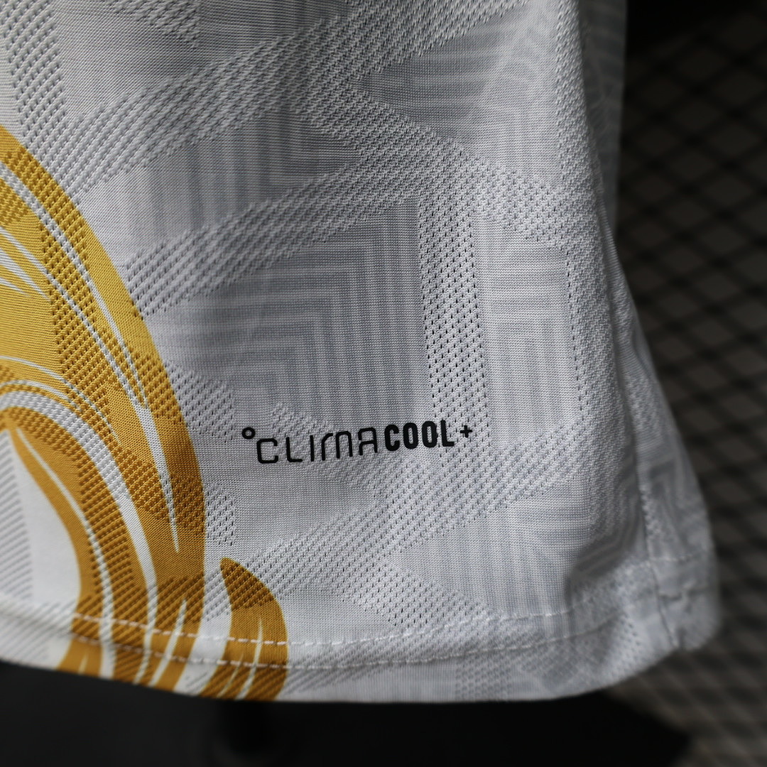 Argentina Special Jersey World Cup — photo 3