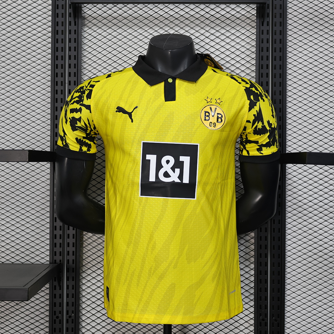 Borussia Dortmund Special Jersey — photo 1