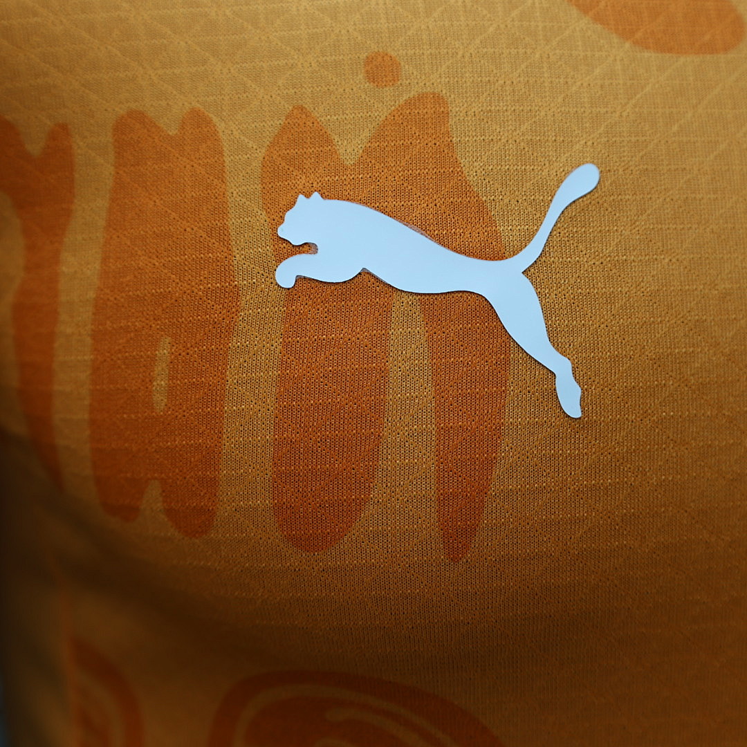 Ivory Coast Home Jersey — photo 2
