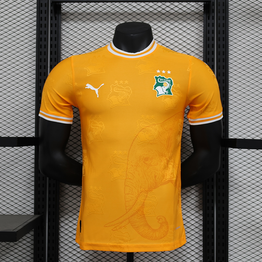 Ivory Coast Jersey — photo 1