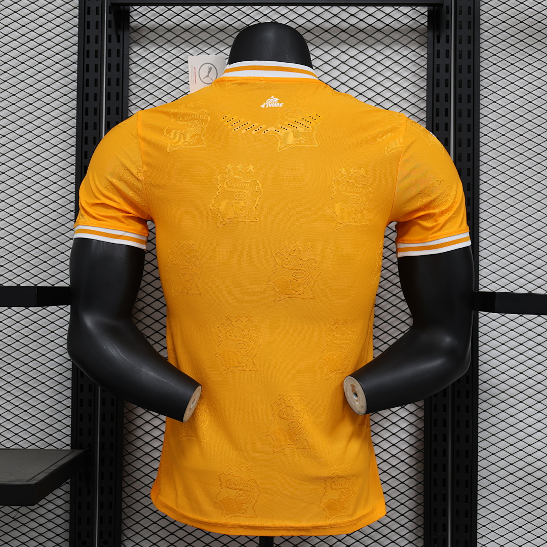 Ivory Coast Jersey — photo 3