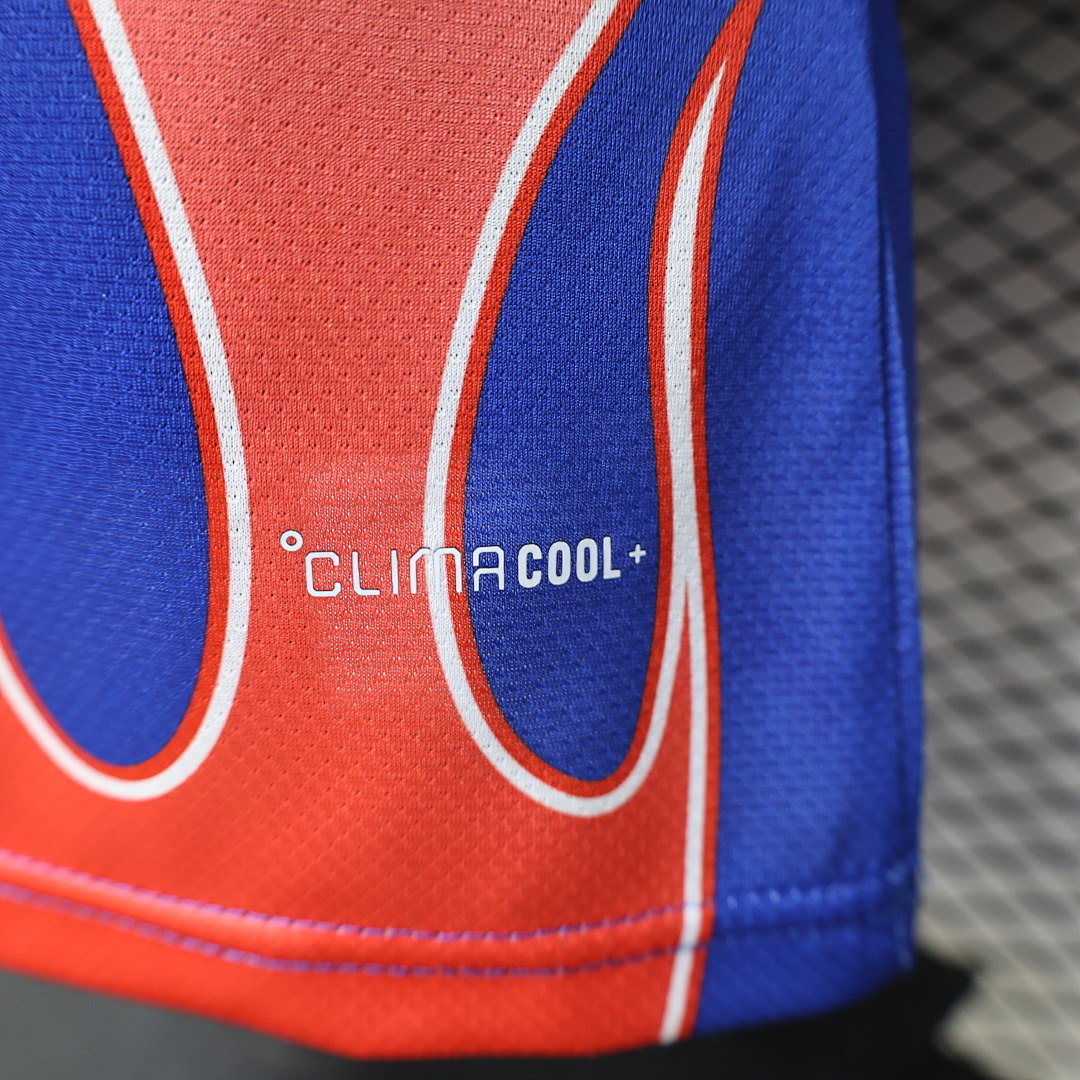 Japan Special Jersey World Cup — photo 3