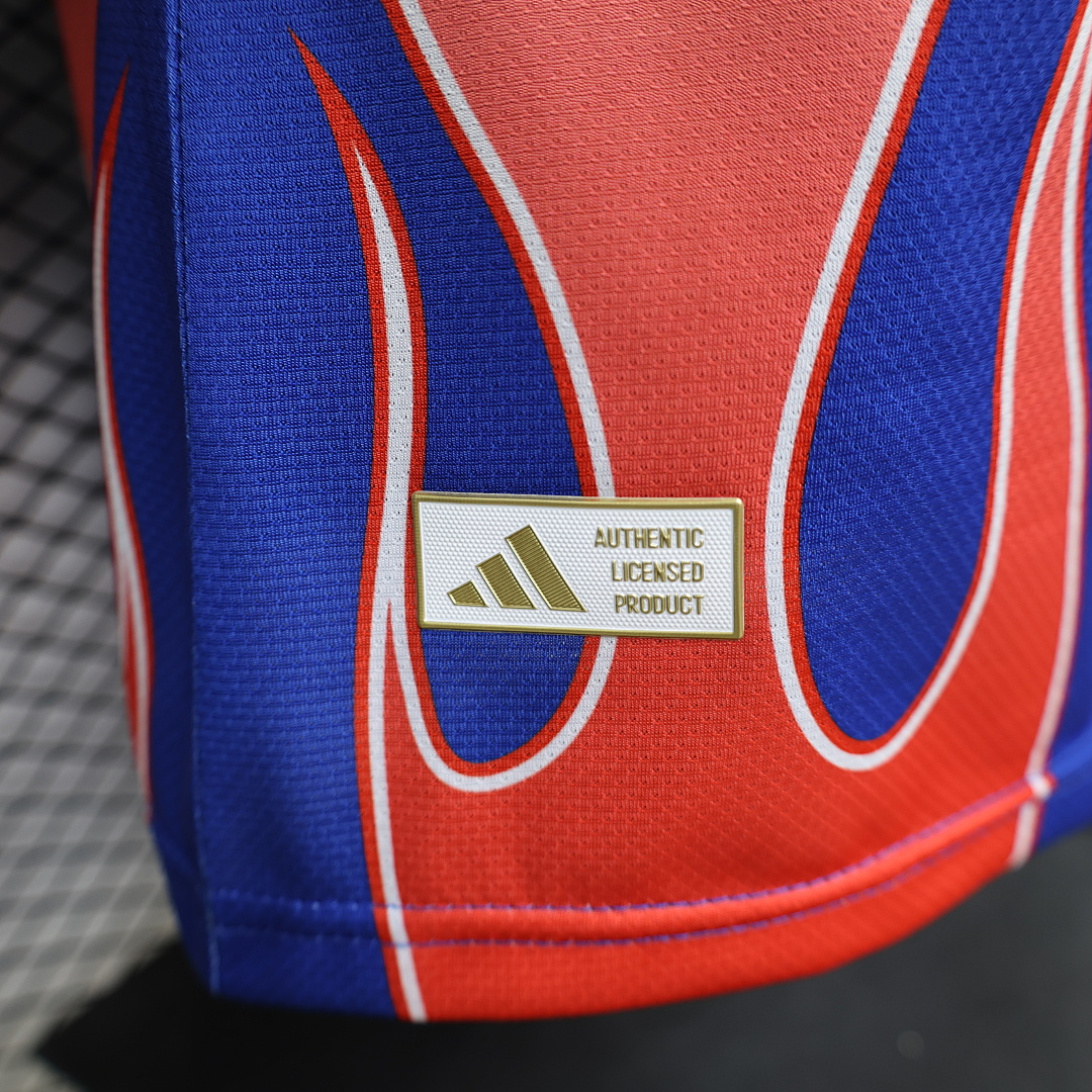 Japan Special Jersey World Cup — photo 4
