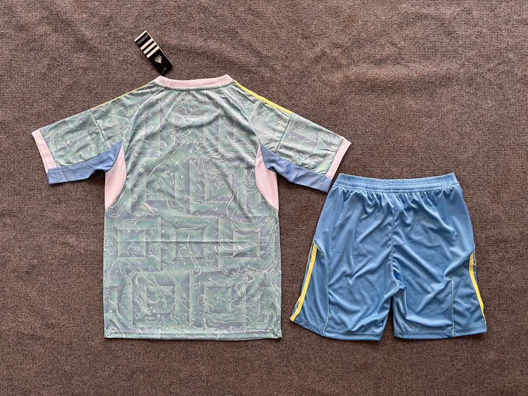 Juventus Away Kit for Adult 2025/26 — photo 2