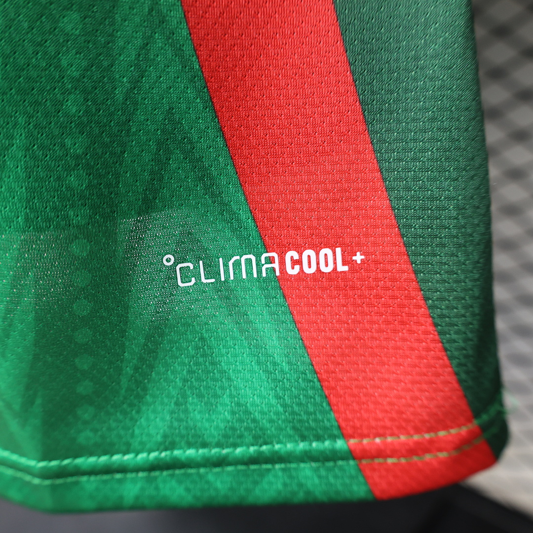 Mexico Special Jersey World Cup — photo 3