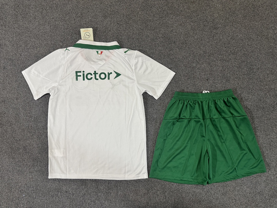 Palmeiras Away Kit for Adult 2026/27 — photo 2