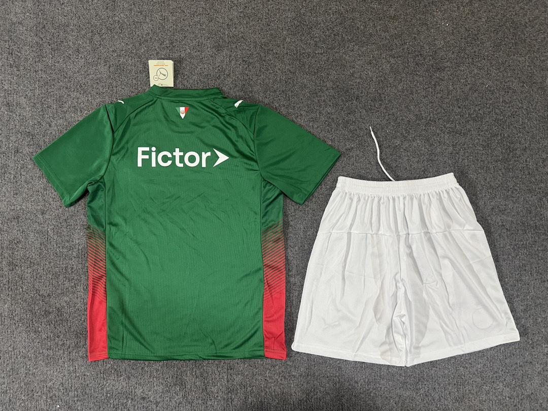 Palmeiras Home Kit for Adult 2026/27 — photo 2