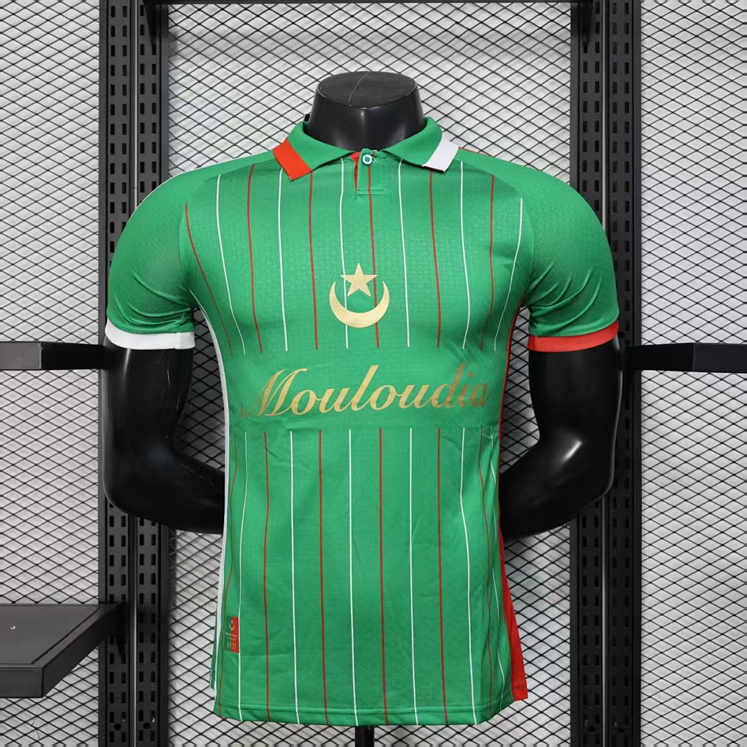 Palestine Green Retro Jersey — photo 1