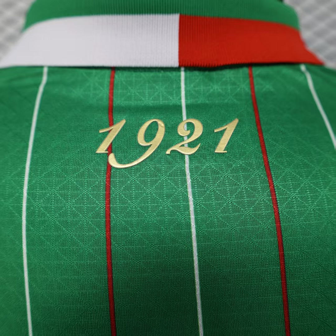 Palestine Green Retro Jersey — photo 2