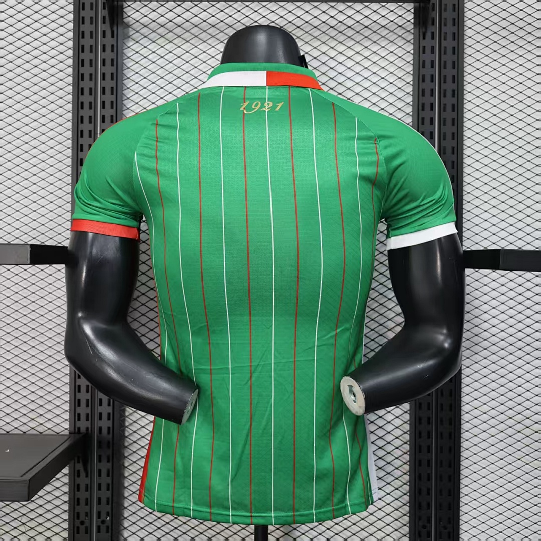 Palestine Green Retro Jersey — photo 3