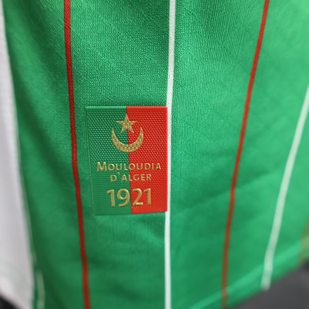 Palestine Green Retro Jersey — photo 4