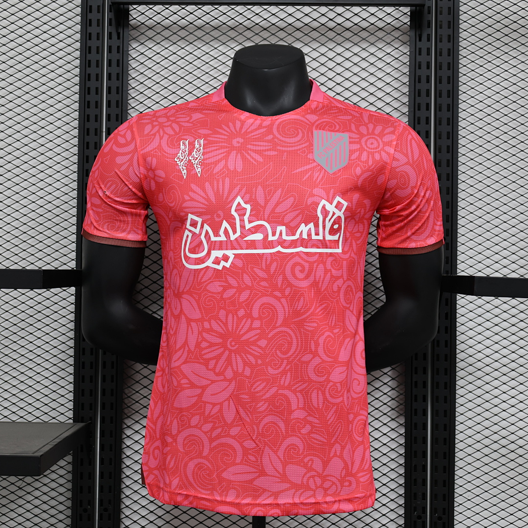 Palestine Pink Retro Jersey — photo 1
