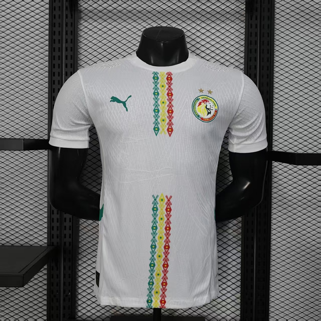 Senegal Jersey — photo 1