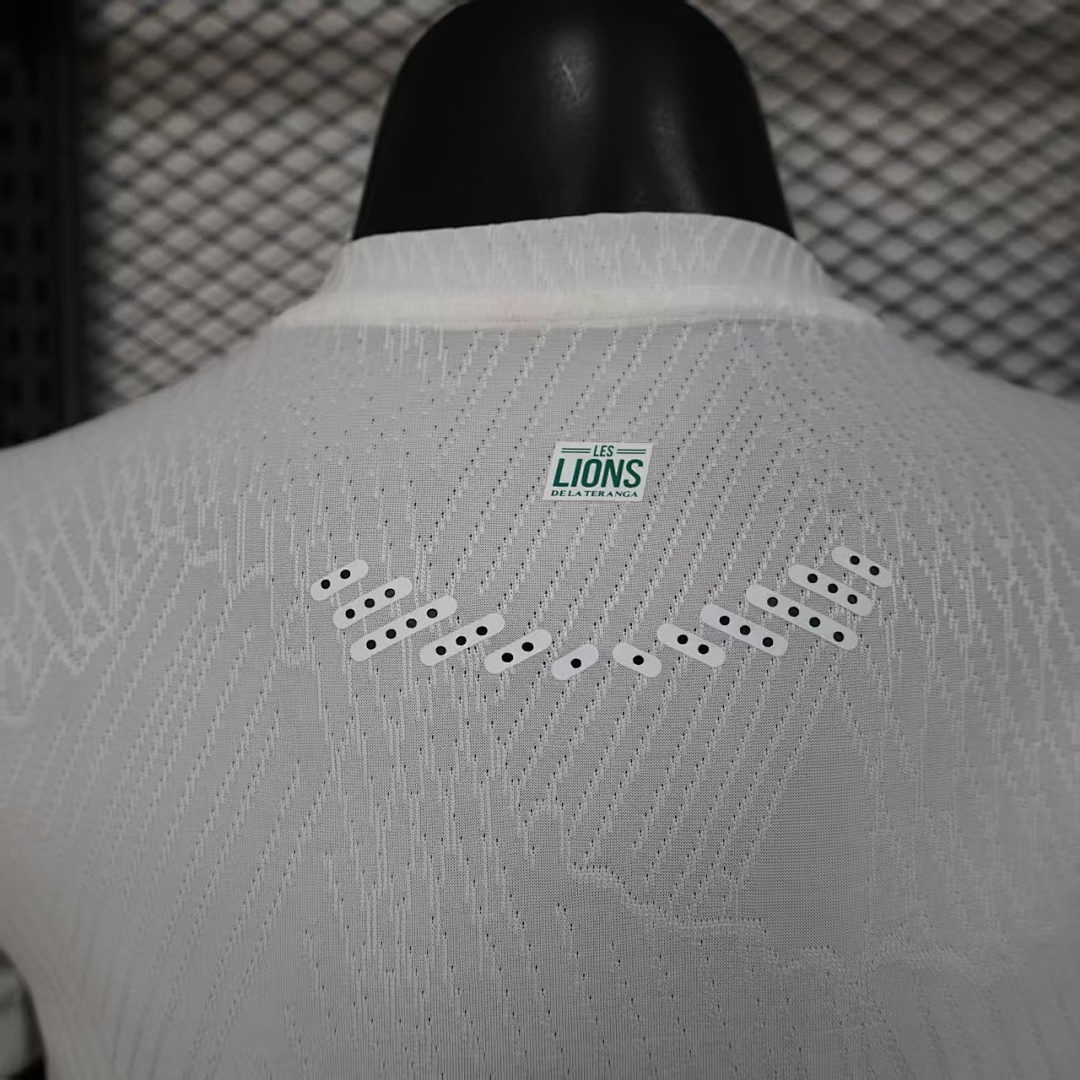 Senegal Jersey — photo 3