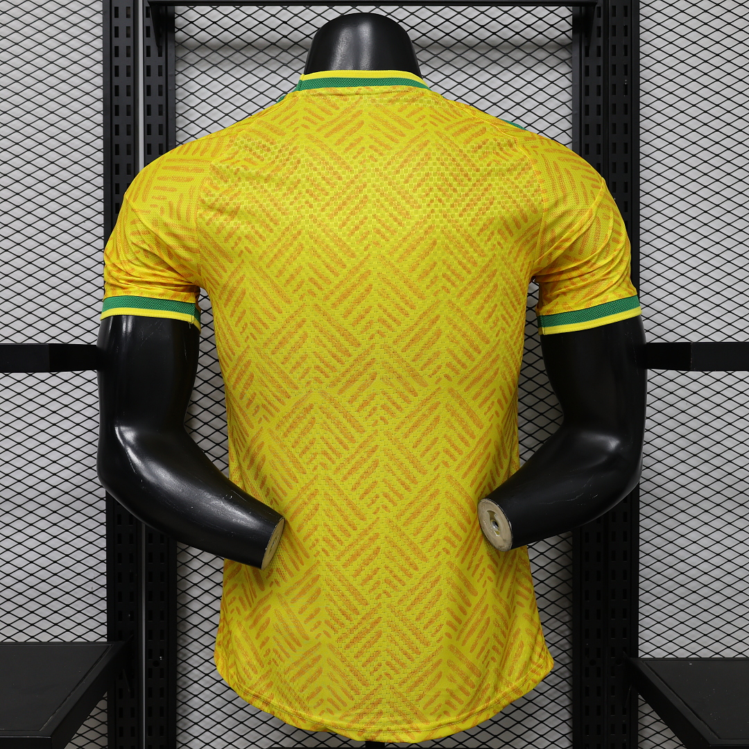 South Africa Home Jersey World Cup — photo 2