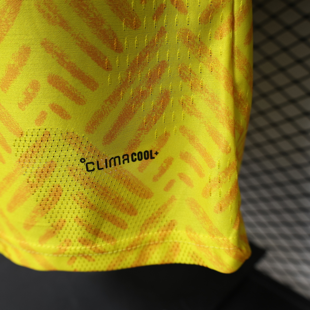 South Africa Home Jersey World Cup — photo 3